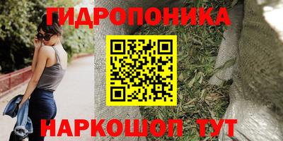 apvp Кинель