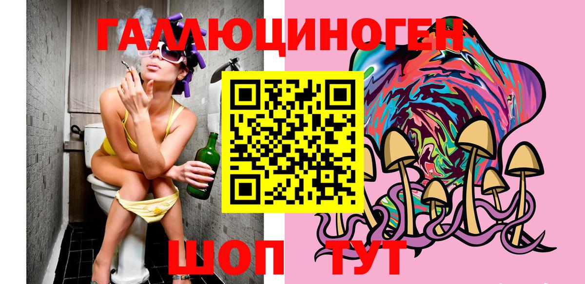 Кингисепп  Псилоцибиновые грибы Psilocybe  Вход с VPN 