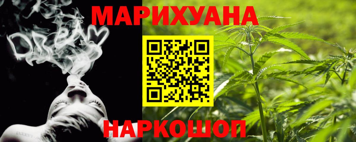 Бошки Шишки план Кингисепп